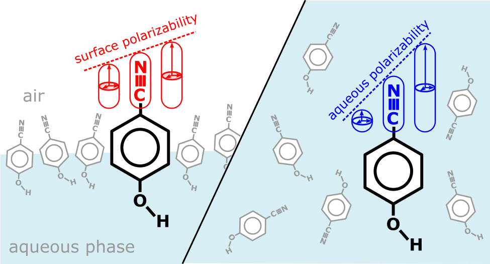 Unlocking Molecular Insights at Interfaces